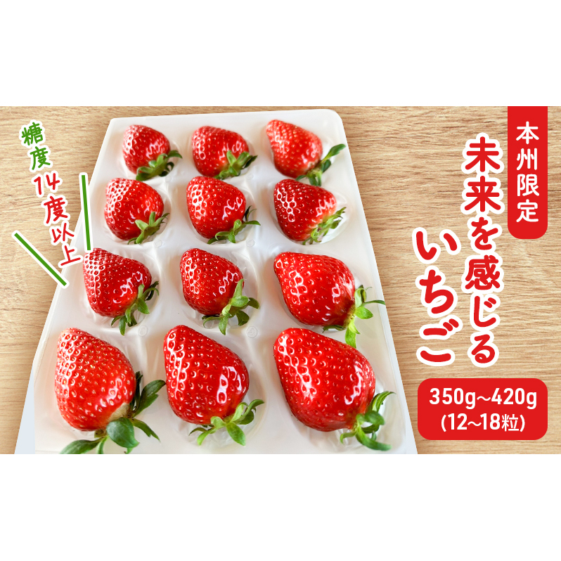 y{Bzx14xȏ㖢邢12{菇z ʕ t[c fU[g  uhi ꌧČs20000ʕEt[c
