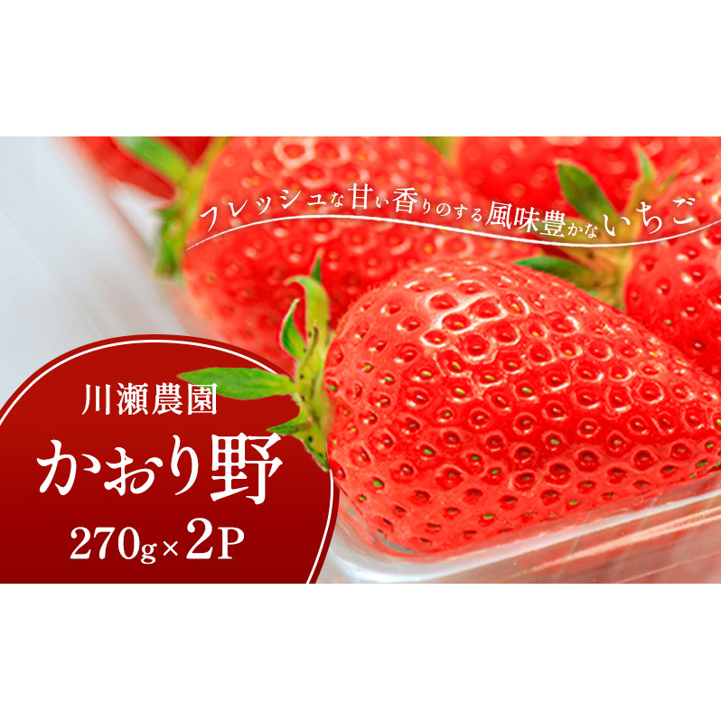 川瀬農園のかおり野 2パック滋賀県米原市10000果物・フルーツいちご