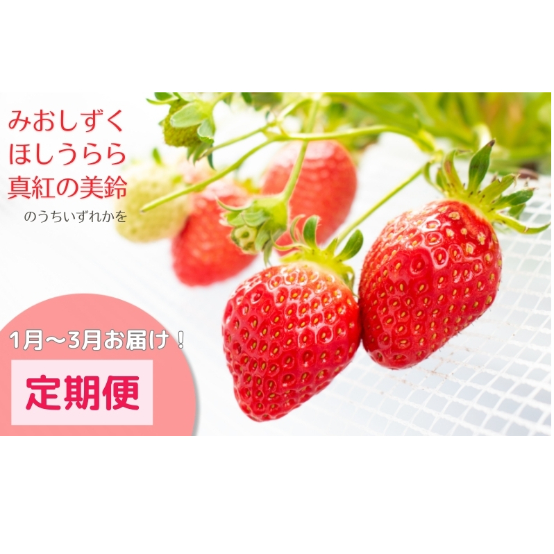 希少品種いちご3種定期便(1〜3月お届け)滋賀県米原市47000果物・フルーツいちご
