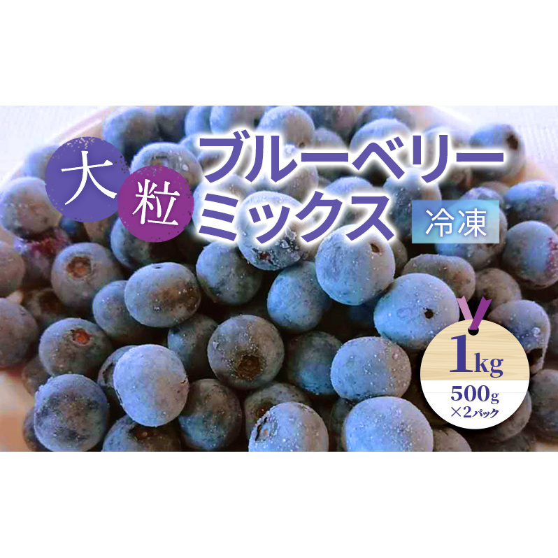大粒ブルーベリーミックス(冷凍)1kg(500g×2パック)| ブルーベリー 果物 フルーツ 冷凍フルーツ ベリー類滋賀県米原市15000果物・フルーツ