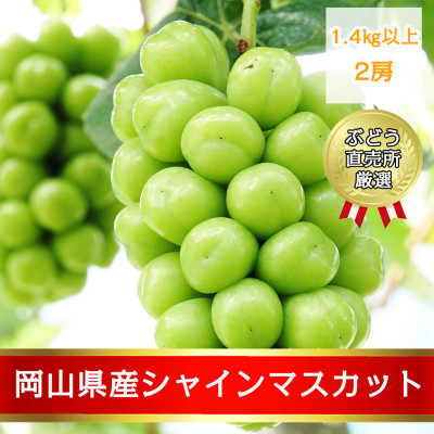 きりん　岡山県産シャインマスカット7kg（超訳あり） シャインマスカット 数量限定！！岡山県産 800g 超訳あり