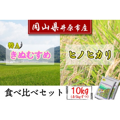 岡山県井原市産ヒノヒカリ・きぬむすめ食べ比べセット10kg(各5kg)【1283517】岡山県井原市12000米・パン白米