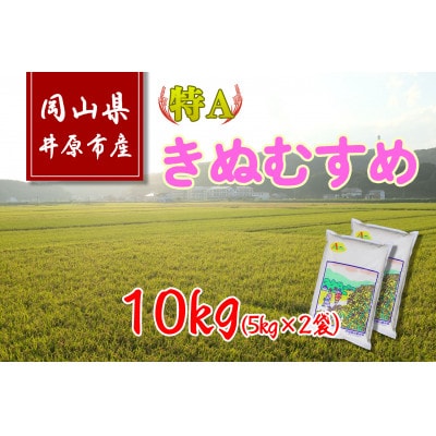 岡山県井原市産きぬむすめ10kg(5kg×2袋)【1298173】岡山県井原市12000米・パン白米