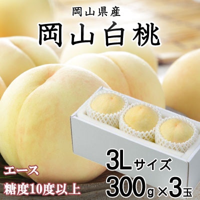 R G[X 3×300g(3LTCY) RYyzsnFEkCEzy1313385zR䌴s17000ʕEt[cE