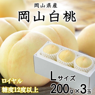 岡山白桃 ロイヤル 3玉×200g (Lサイズ) 岡山県産【配送不可地域:離島・北海道・沖縄】【1313410】岡山県井原市13000果物・フルーツもも・すもも