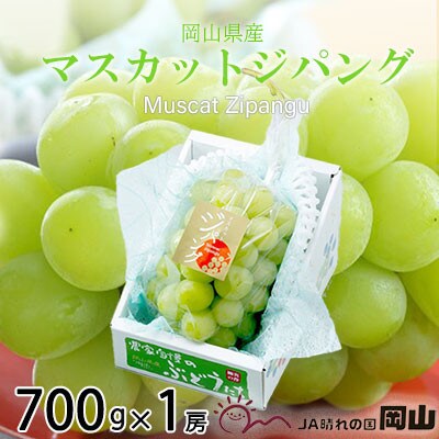 RY }XJbgWpO 700g×1[yzsnFEkCEzy1351834zR䌴s28000ʕEt[c}XJbgEԂǂ