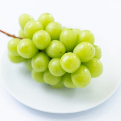 ys\@2025N7菇zRYVC}XJbg2[yāEzyzsnFEkCEEkzy1356076zR䌴s26000ʕEt[c}XJbgEԂǂ