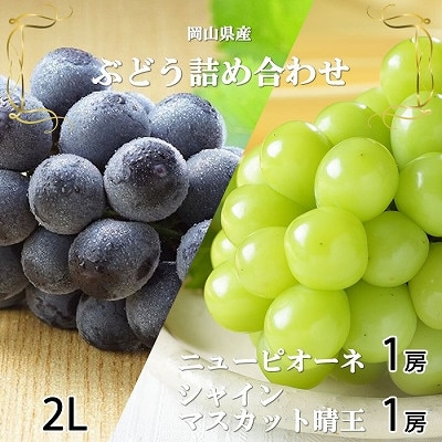y2026N6{菇zRYVC}XJbg Ej[sI[l 2LTCYlyzsnFEkCEzy1365891zR䌴s28000ʕEt[c}XJb