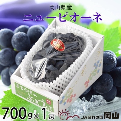 y2025N8{蔭zRY@j[sI[l@700g×1[yzsnFEkCEzy1365897zR䌴s13000ʕEt[c}XJbgEԂǂ