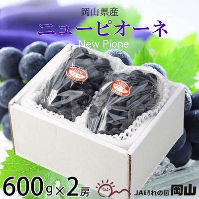 y2025N8{蔭zRY@j[sI[l@600g×2[yzsnFEkCEzy1365901zR䌴s20000ʕEt[c}XJbgEԂǂ