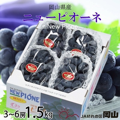 y2025N8{蔭zRY@j[sI[l@1.5kg(3[`6[)yzsnFEkCEzy1365902zR䌴s17000ʕEt[c}XJbgEԂǂ