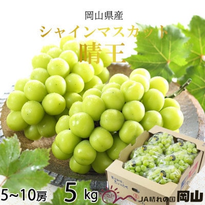 y2026N7{菇zRY VC}XJbg  5kg(5[`10[)yzsnFEkCEzy1366011zR䌴s100000ʕEt[c}XJbgEԂǂ