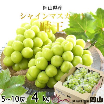 y2025N8{蔭zRY@VC}XJbg@@4kg(5[`10[)yzsnFEkCEzy1366096zR䌴s44000ʕEt[c}XJbgEԂǂ