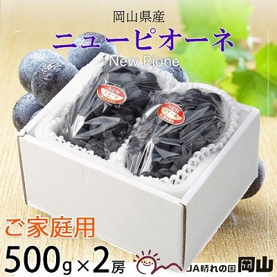 y2025N8{蔭zƒp@RY@sI[l@500g×2[yzsnFzy1409693zR䌴s13000ʕEt[c}XJbgEԂǂ
