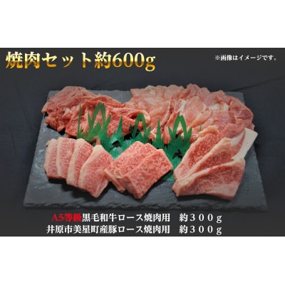 ēZbg600g(2`3lp)A5 јa[X300gƓ؃[X300g RYyzsnFzy1416011zR䌴s14000
