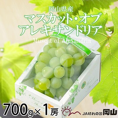 y2025N8{蔭zRY@}XJbgEIuEALThA@700g×1[yzsnFEkCEzy1424551zR䌴s16000ʕEt[c}XJbgEԂǂ