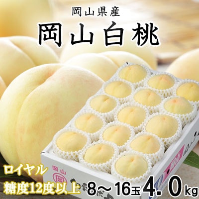 岡山白桃 ロイヤル 8〜16玉 4.0kg 岡山県産【配送不可地域:離島・北海道・沖縄】【1424552】岡山県井原市55000果物・フルーツもも・すもも