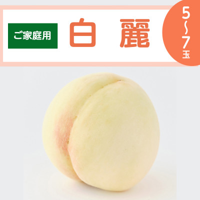 【ご家庭用】岡山白桃「白麗」5〜7玉(2026年7月中旬頃から順次発送予定)【配送不可地域:離島】【1467335】岡山県井原市14000果物・フルーツもも・すもも