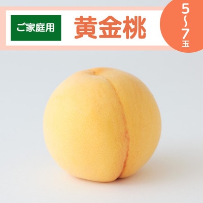 yƒpzRY  5`7(2026N8{珇\)yzsnFzy1467351zR䌴s12000ʕEt[cE