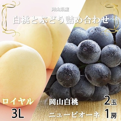 岡山県産 岡山白桃ロイヤル3Lサイズ300g×2玉・ニューピオーネ600g×1房 詰合せ【配送不可地域:離島・北海道・沖縄】【1472032】岡山県井原市27000果物・フルーツもも・すもも