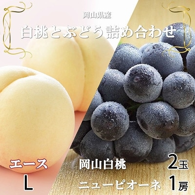 RY RG[XLTCY200g×2ʁEj[sI[l400g×1[ lyzsnFEkCEzy1472044zR䌴s15000ʕEt[cE