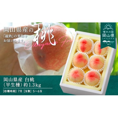 y2026NzRY@()1.3kg(5`6)yzsnFzy1493185zR䌴s17000ʕEt[cE
