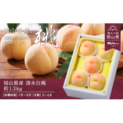 y2026NzRY@@1.3kg(5`6)yzsnFzy1493190zR䌴s21000ʕEt[cE