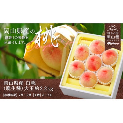 y2026NzRY@(Ӑ)2.2kg(6`7)yzsnFzy1493192zR䌴s33000ʕEt[cE