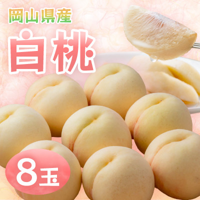 【2026年発送】岡山県産 白桃 8玉 約2.0kg【配送不可地域:離島】【1493869】岡山県井原市34000果物・フルーツもも・すもも