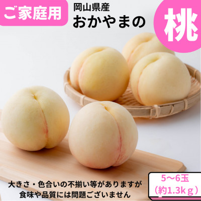y2026Nzƒp@܂̓@1.3kg(5`6)yzsnFzy1493927zR䌴s17000ʕEt[cE