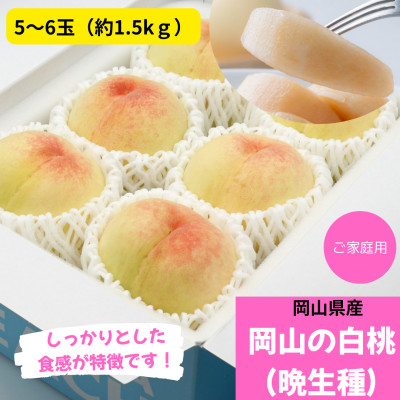 【2026年発送】ご家庭用 白桃(晩生種)  約1.5kg(5〜6玉)【配送不可地域:離島】【1493939】岡山県井原市18000果物・フルーツもも・すもも