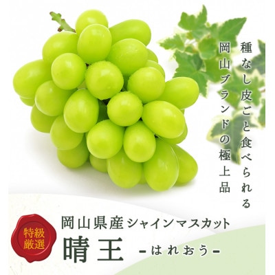 岡山県産 シャインマスカット『晴王』1房(800g以上) 化粧箱入り【配送不可地域:離島・北海道・沖縄】【1514904】岡山県井原市24000果物・フルーツマスカット・ぶどう