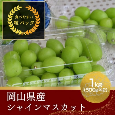 【ご家庭用】岡山県産シャインマスカット バラ粒 1kg(500g×2パック)【令和7年産】【配送不可地域:離島】【1522924】岡山県井原市10000果物・フルーツマスカット・ぶどう