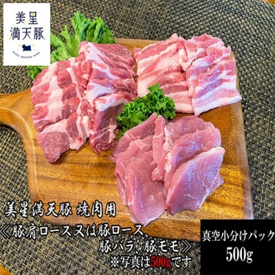 美星満天豚 焼肉 500g(小分け真空パック) ≪豚肩ロース又は豚ロース、豚バラ、豚モモ≫【配送不可地域:離島】【1584142】岡山県井原市9000肉豚肉