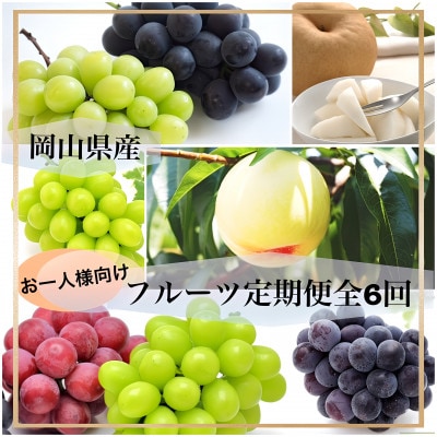 【発送月固定定期便】岡山県産 フルーツ定期便<お一人様向け>全6回【配送不可地域:離島】【4066840】岡山県井原市83000果物・フルーツもも・すもも