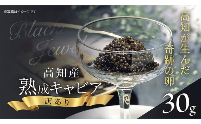 訳ありキャビア 高知産熟成キャビア30g シェルスプーン付高知県芸西村28000魚介・海産物明太子・その他魚卵