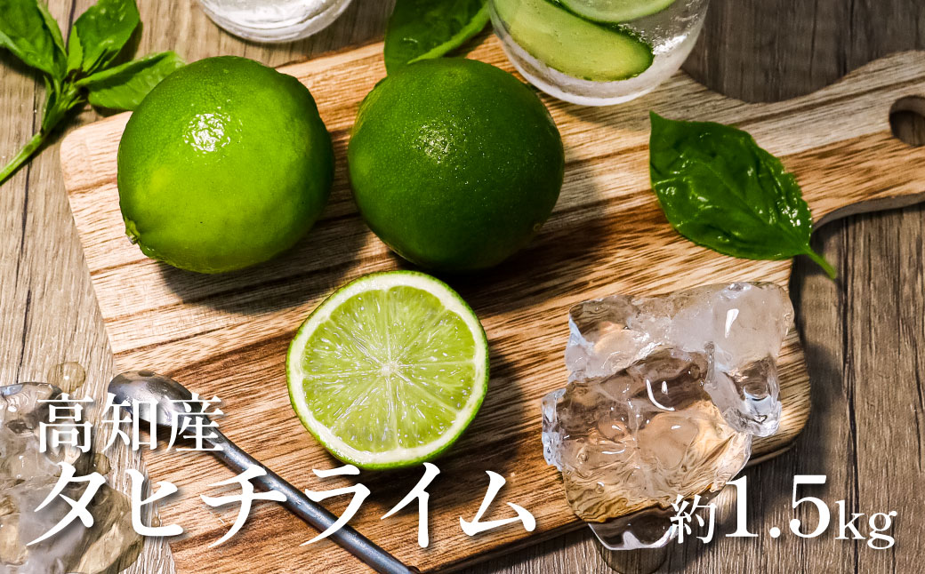 タヒチライム 約1.5kg ライム 国産 種なし 柑橘類 かんきつ類 防腐剤不使用 ノーワックス 新鮮 冷蔵 家庭用 果物 くだもの フルーツ 芸西村 高知県産高知県芸西村15000果物・フルーツみかん・
