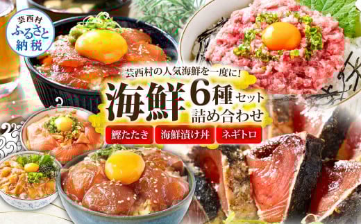 かつおのたたき600g ネギトロ80gx2P 漬け丼の素80g×4P 海鮮セット カツオのタタキ ねぎとろ 真鯛 たい まぐろ マグロ サーモン イカ いか 刺身 魚 海鮮丼 魚介 小分け おかず高知県芸西村15000魚