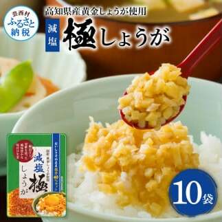 減塩味付け極しょうが110g×10袋 - 減塩 しょうが ショウガ 生姜 生ふりかけ 坂田信夫商店 黄金しょうが 高知 国産 料理 おかず 調味料 ご飯のお供 混ぜご飯 刻み生姜 健康 話題高知県芸西村700