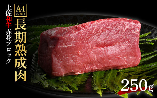 天下味 エイジング工法 熟成肉 土佐和牛 特選 赤身ブロック 250g エイジングビーフ 国産 牛肉 土佐 和牛 冷凍配送 真空パック お祝い 高知 芸西村 贈り物 贈答 ギフト高知県芸西村13000肉牛肉
