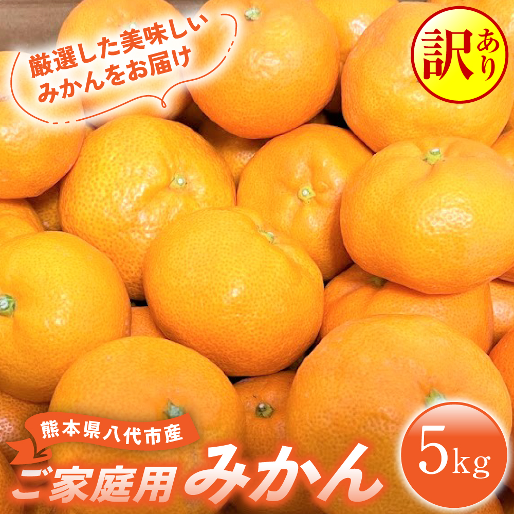 【訳あり】 熊本県八代市産 ご家庭用みかん5kg 蜜柑 柑橘 ミカン 熊本県八代市10000果物・フルーツみかん・柑橘類