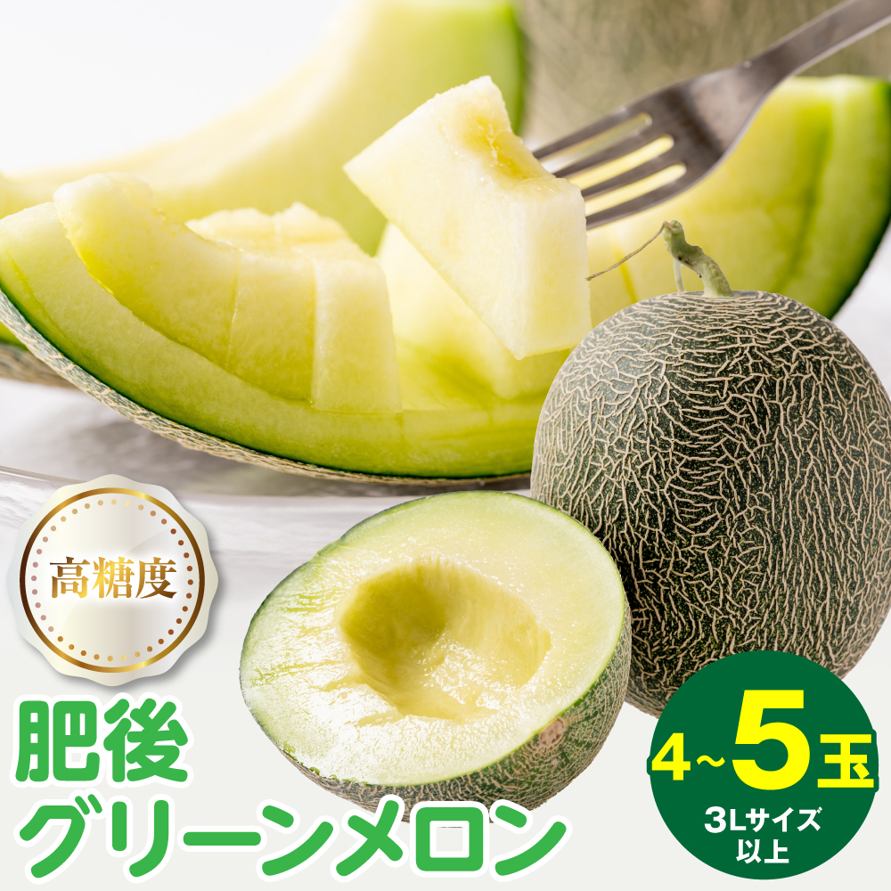 【先行予約】高糖度 2026年 八代産 肥後グリーンメロン 3Lサイズ以上 4〜5玉 化粧箱入 お中元 夏 ギフト メロン めろん フルーツ 期間限定 【2026年5月中旬より順次発送】熊本県八代市25000果物
