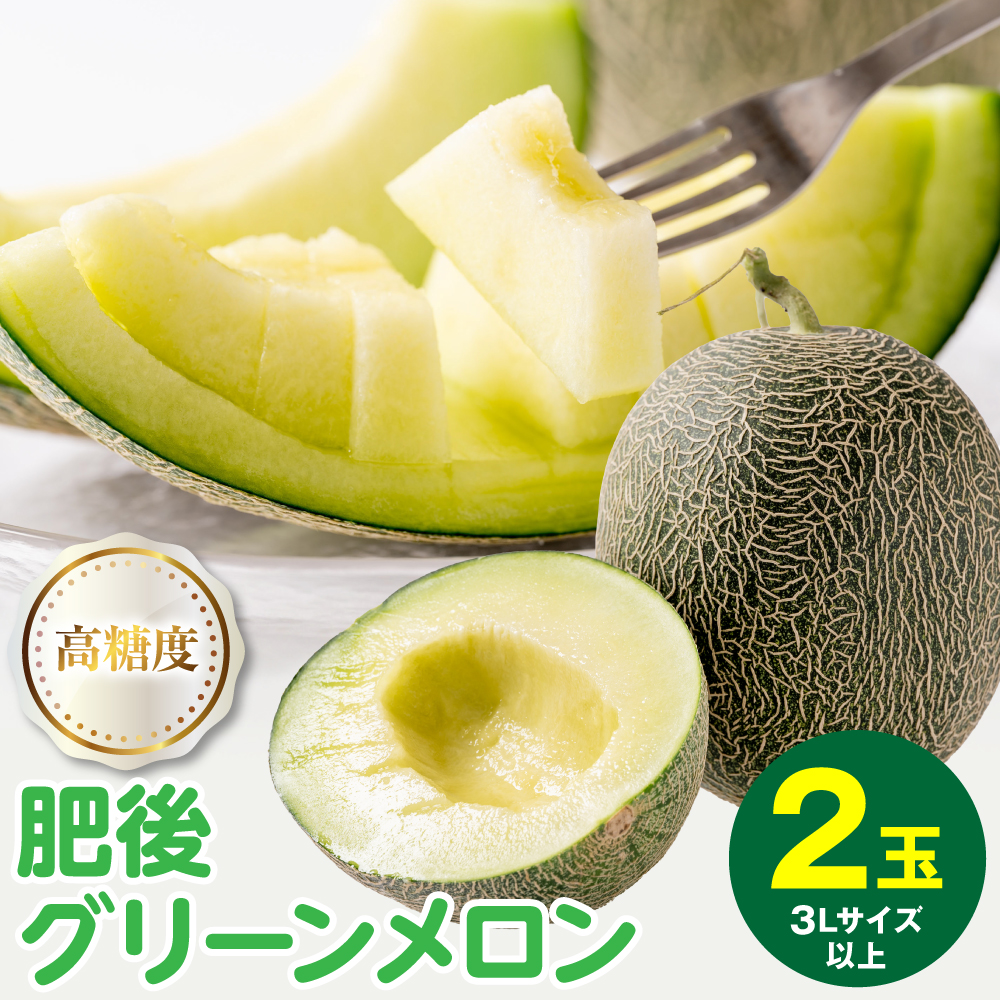【先行予約】高糖度 2026年 八代産 肥後グリーンメロン 3Lサイズ以上 2玉 化粧箱入 お中元 夏 ギフト メロン めろん フルーツ 期間限定 【2026年5月中旬より順次発送】熊本県八代市15000果物・