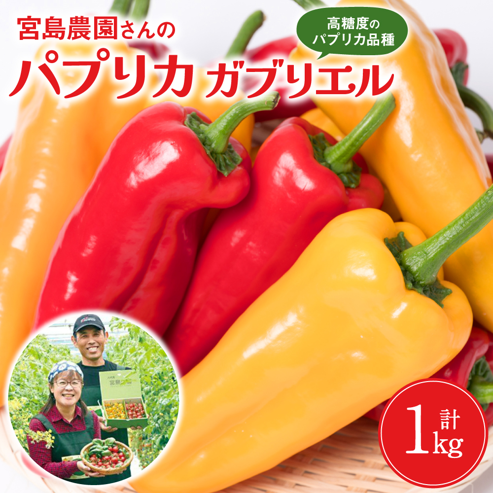 【先行予約】 パプリカ ガブリエル 1kg 八代市産 宮島農園 野菜 新鮮野菜 緑黄色野菜 国産 熊本県産 【2026年3月上旬より順次発送】熊本県八代市10000野菜・きのこその他 野菜