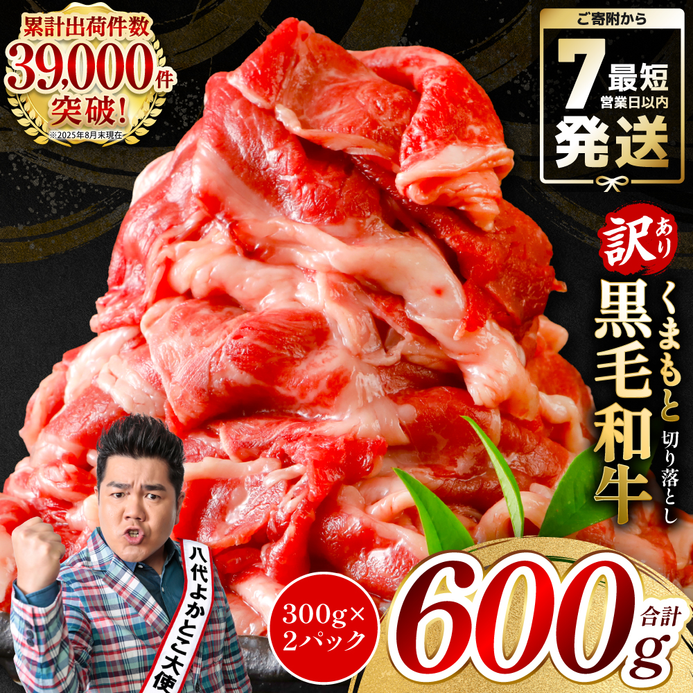 【訳あり】 くまもと黒毛和牛 切り落とし 600g(300g×2) 黒毛和牛 牛肉 和牛 ブランド牛 ブランド和牛 訳あり牛肉 ブランド牛肉 牛肉切り落とし ブランド牛切り落とし 小分け 熊本県産 くま
