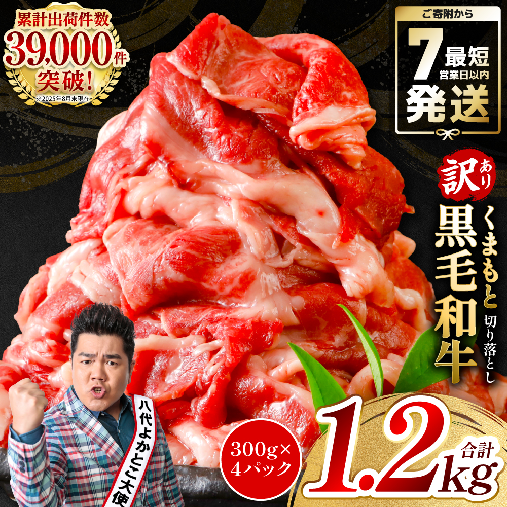 【訳あり】 くまもと黒毛和牛 切り落とし 1.2kg (300g×4)  黒毛和牛 牛肉 和牛 ブランド牛 ブランド和牛 訳あり牛肉 ブランド牛肉 牛肉切り落とし ブランド牛切り落とし 小分け 熊本県産 く