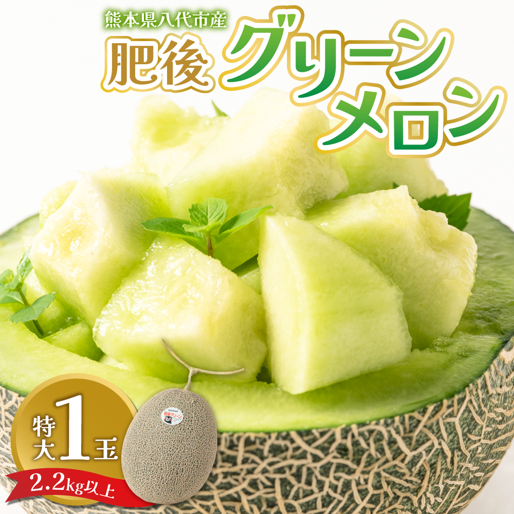 【先行予約】 熊本県八代市産 肥後グリーンメロン 特大1玉 (2.2kg以上) メロン めろん 果物 くだもの フルーツ デザート 旬 青肉 ジューシー 甘い 【2026年6月中旬より順次発送】熊本県八代市11