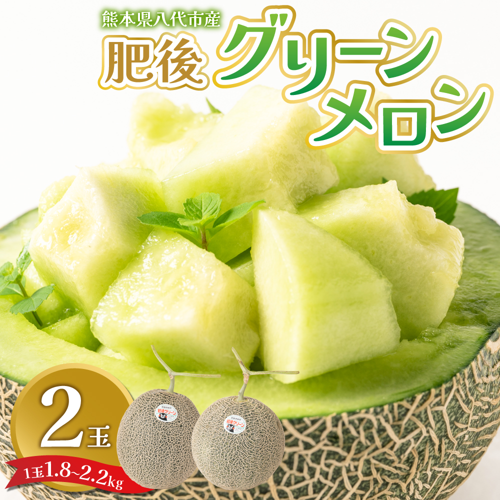 【先行予約】 熊本県八代市産 肥後グリーンメロン 2玉 (1玉1.8kg〜2.2kg) メロン めろん 果物 くだもの フルーツ デザート 旬 青肉 ジューシー 甘い 【2026年6月中旬より順次発送】熊本県八代市19