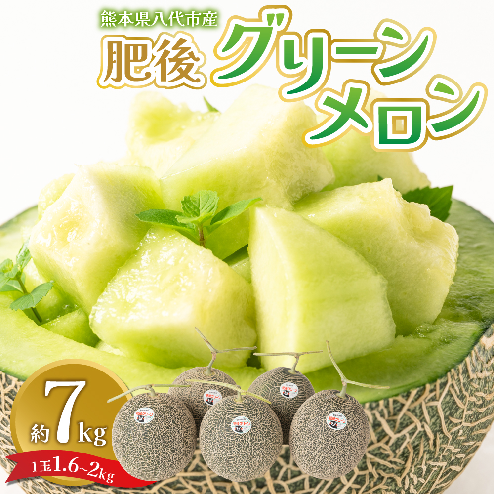 【先行予約】 熊本県八代市産 肥後グリーンメロン 約7kg (1玉1.6kg〜2kg) メロン めろん 果物 くだもの フルーツ デザート 旬 青肉 ジューシー 甘い 【2026年6月中旬より順次発送】熊本県八代市30