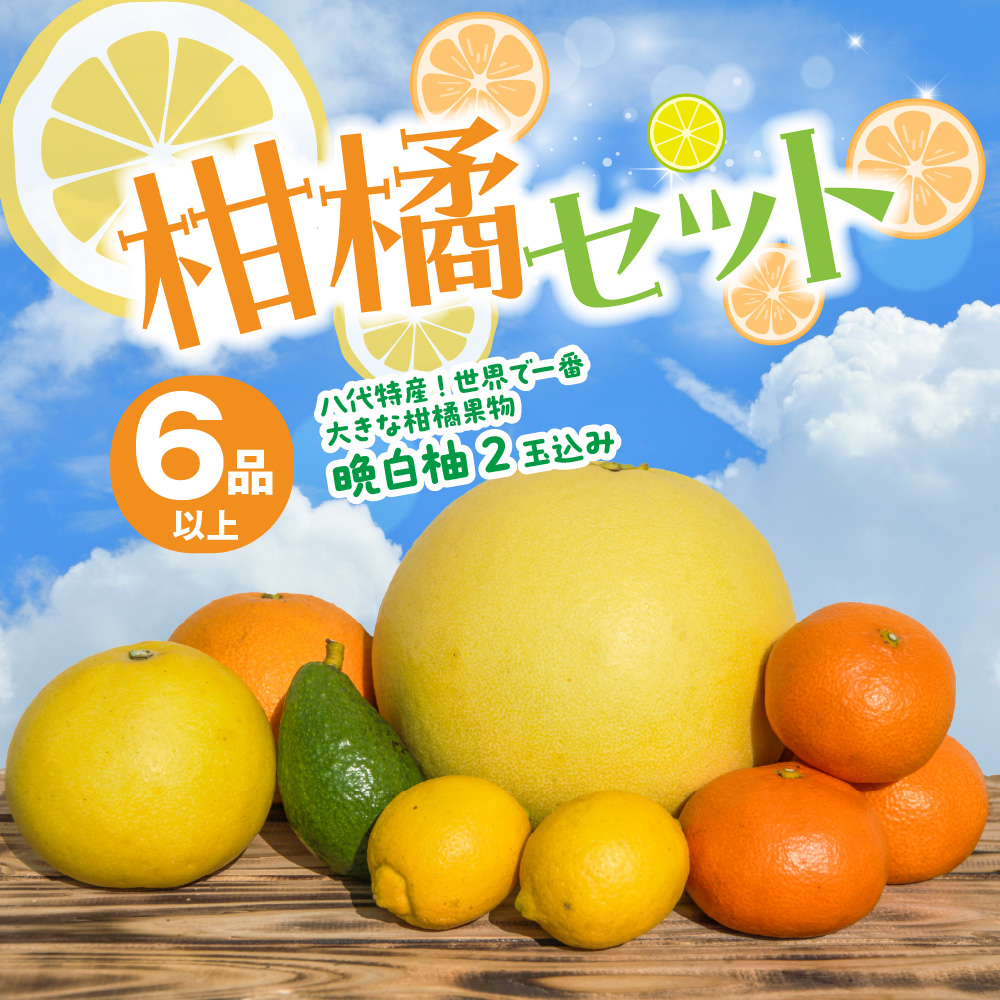 【先行予約】 八代市産 柑橘セット(6品以上・晩白柚2玉入り) 柑橘 みかん 果物 フルーツ 熊本県産 ばんぺいゆ 特産品 【2025年12月上旬より順次発送】熊本県八代市23000果物・フルーツみか